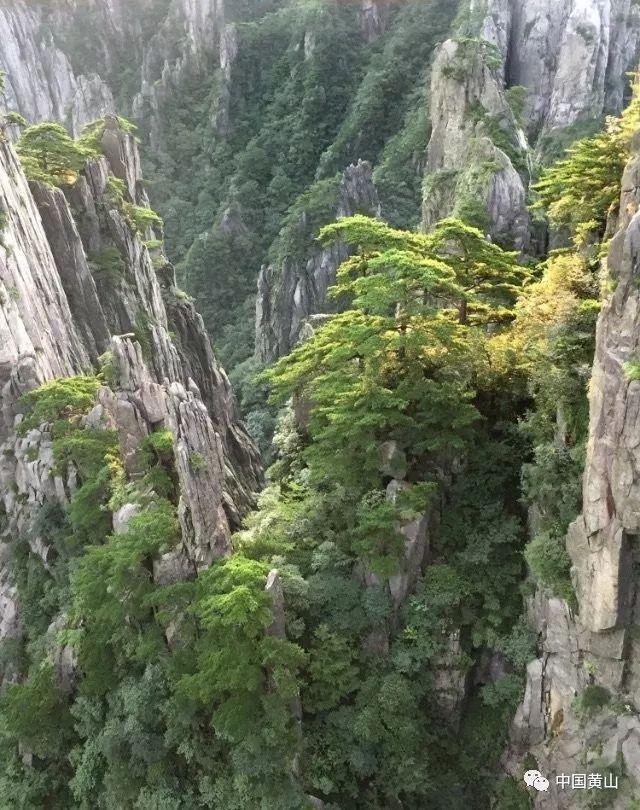 次元喵